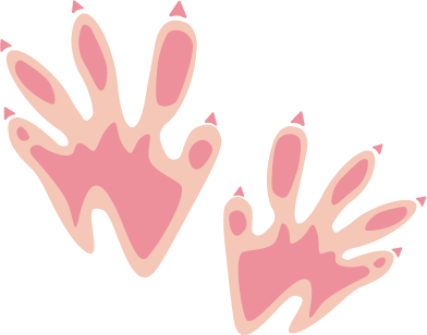 Decorative paws